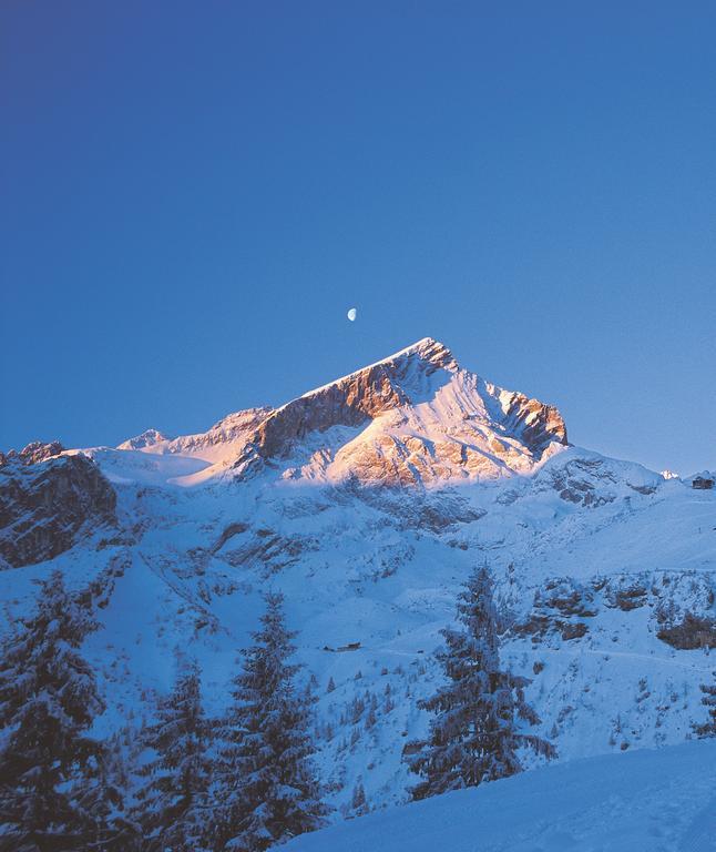 Ferienwohnungen Zugspitze Grainau Dış mekan fotoğraf